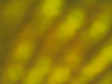 hhhjnf1 — 2025-09-29 07:03 hhhjnf1 — 2025-09-29 07:03