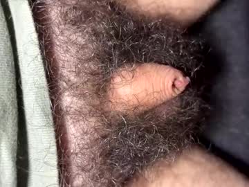 tinycocker — 2025-10-13 23:57 tinycocker — 2025-10-13 23:57